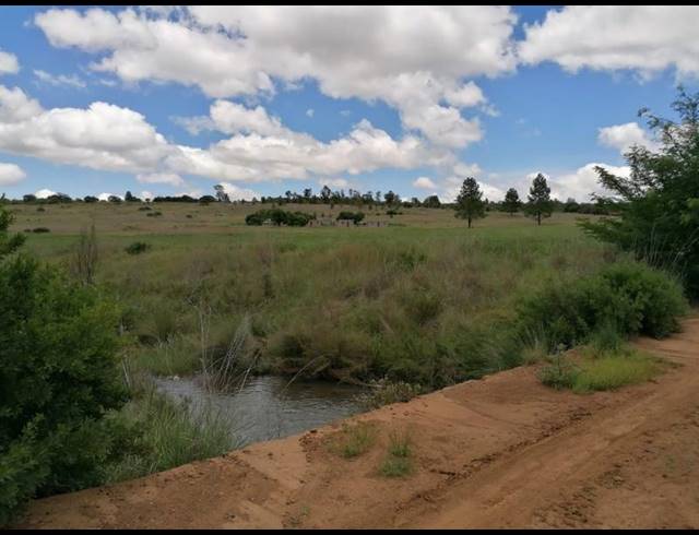 FARM FOR SALE IN LYDENBURG RURAL